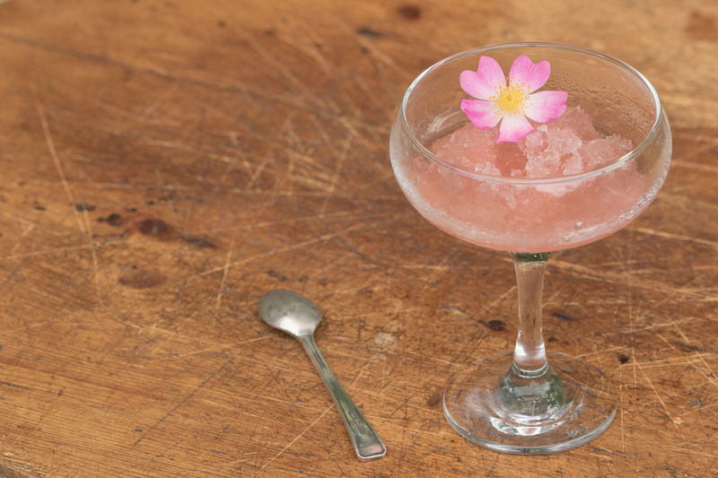 Illustration for article titled You owe it to your friends, loved ones, and yourself to make homemade frosé